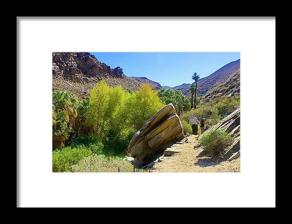 Washingtonian Fan Palm Grove In Lower Palm Canyon From Beginning Of Fern Trail In Indian Canyons Near Palm Springs Framed Print featuring the photograph Lower Palm Canyon Trail in Indian Canyons near Palm Springs, California #1 by Ruth Hager