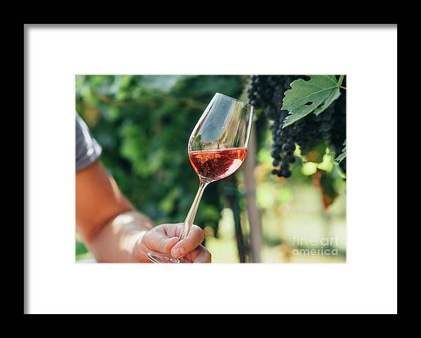 Wine Framed Print featuring the photograph Man holding glass of red wine in vineyard field. Wine tasting in by Jelena Jovanovic