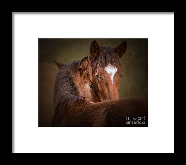 Horse Framed Print featuring the photograph Mare and Foal #1 by Lisa Manifold