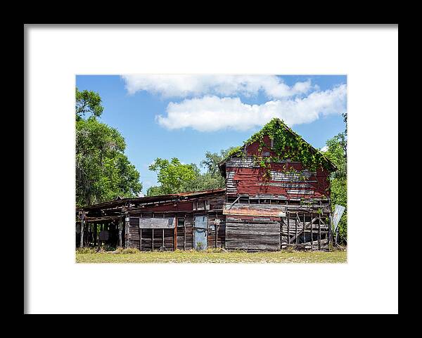 Barn Framed Print featuring the photograph Old Florida Barn by Dart Humeston