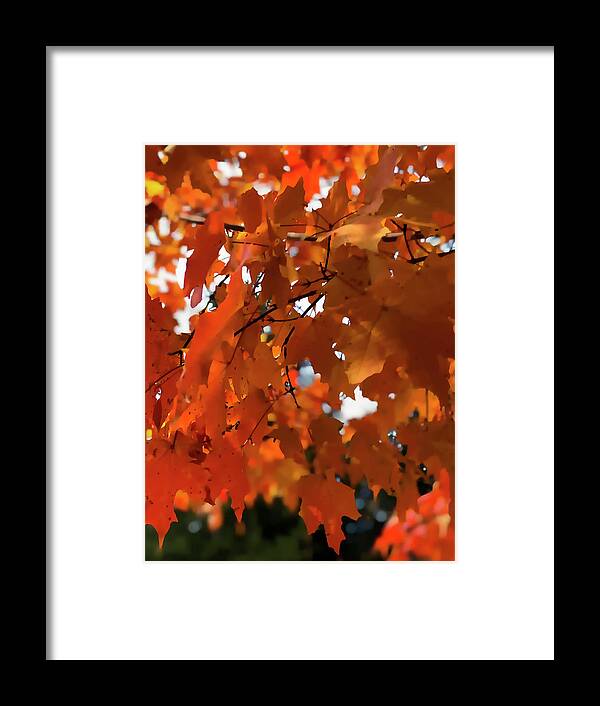  Framed Print featuring the digital art Orange Foliage #1 by Cindy Greenstein