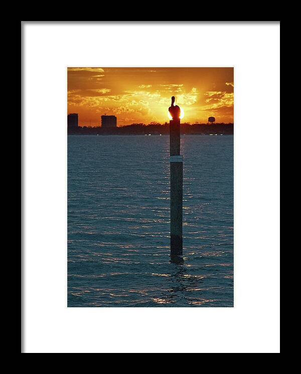 Sky Framed Print featuring the photograph Pelican and Sunset #1 by George Taylor