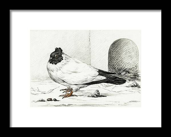 Animal Framed Print featuring the painting Pigeon and a nest with an egg #1 by MotionAge Designs