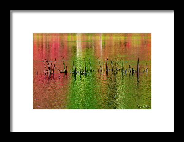 Red And Green Framed Print featuring the photograph Red and Green colors reflection in water #2 by Dan Friend