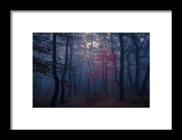 Balkan Mountains Framed Print featuring the photograph Red Tree by Evgeni Dinev