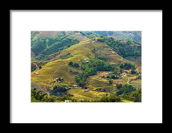 Black Framed Print featuring the photograph Rice Terraces in Sapa by Arj Munoz