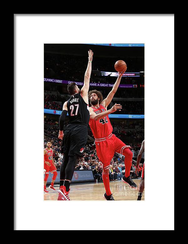 Robin Lopez Framed Print featuring the photograph Robin Lopez #1 by Gary Dineen