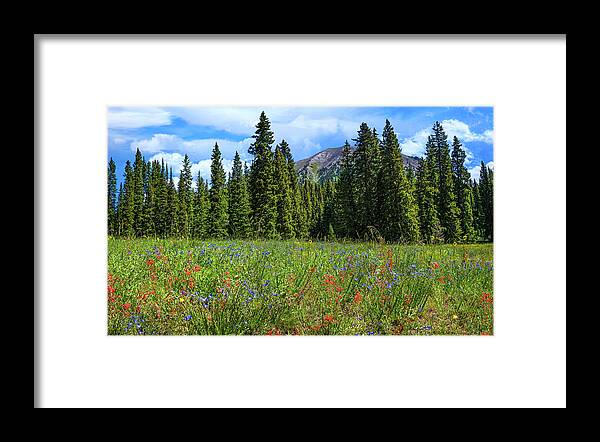 Crested Butte Framed Print featuring the photograph Rocky Mountain Wildflowers #1 by Lynn Bauer
