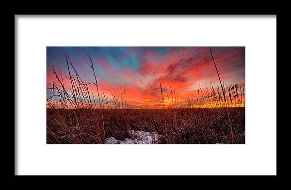 Grassland Framed Print featuring the photograph Roots #1 by Thomas Zimmerman