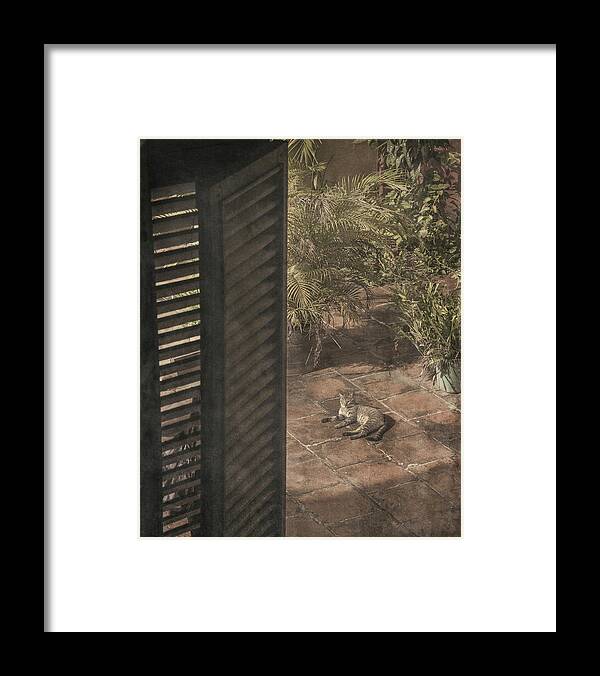Cat Framed Print featuring the photograph Royalty by M Kathleen Warren