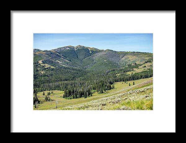 Hiking Framed Print featuring the photograph scenery at Mt Washburn trail in Yellowstone National Park, Wyomi #1 by Alex Grichenko