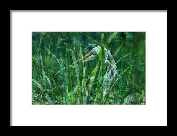 Overlay Framed Print featuring the photograph Secretive Egret by Christopher Byrd