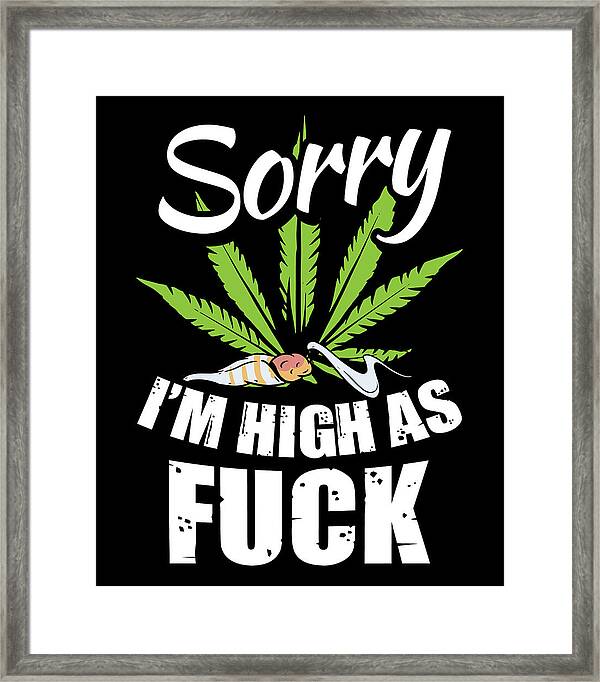 Fuck I M High