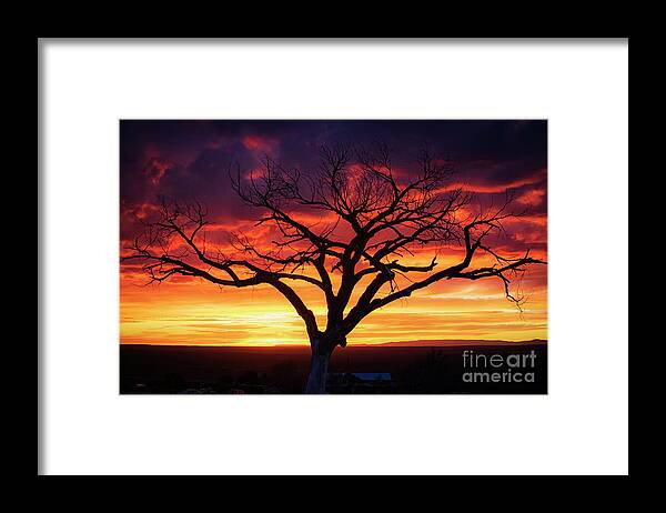Taos Framed Print featuring the photograph Taos Welcome Tree by Elijah Rael