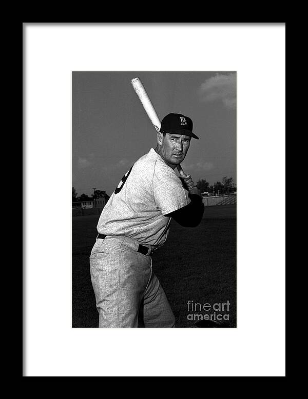 People Framed Print featuring the photograph Ted Williams by Olen Collection