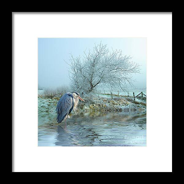 Heron Framed Print featuring the digital art The Early Bird #1 by Brian Tarr