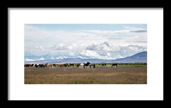 Horse Framed Print featuring the photograph The Wild Horses of the Onaqui Mountains, Utah #1 by Jeanette Mahoney