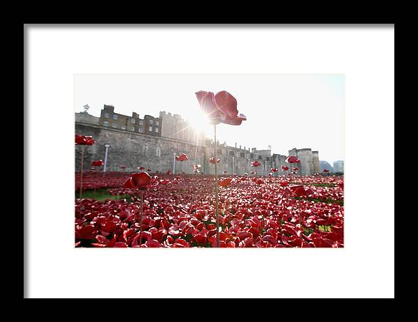 England Framed Print featuring the photograph Three Generations Of The Armed Forces Plant Poppies At Tower Of London #1 by Chris Jackson