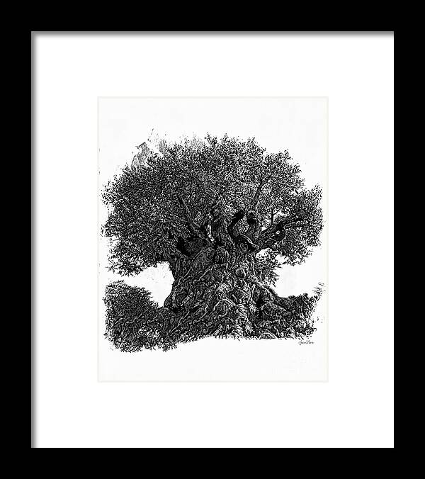Joshua Mimbs Framed Print featuring the photograph Tree of Life #1 by FineArtRoyal Joshua Mimbs