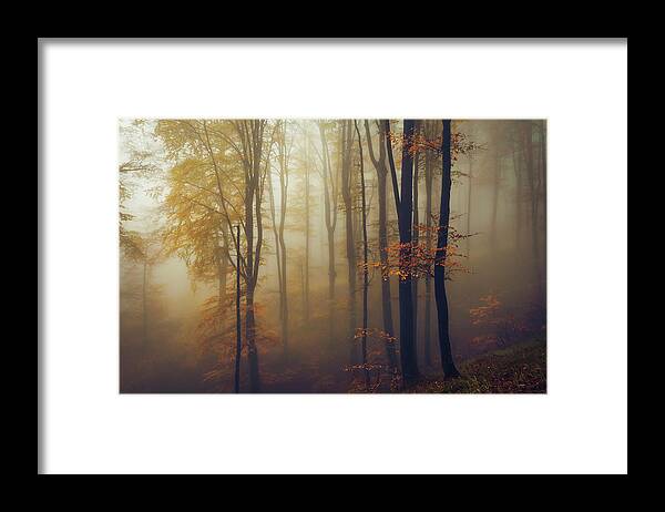 Balkan Mountains Framed Print featuring the photograph Trees in the Mist #1 by Evgeni Dinev