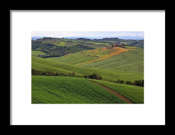 Field Framed Print featuring the photograph Tuscany farmland hill fields in Italy #1 by Mikhail Kokhanchikov