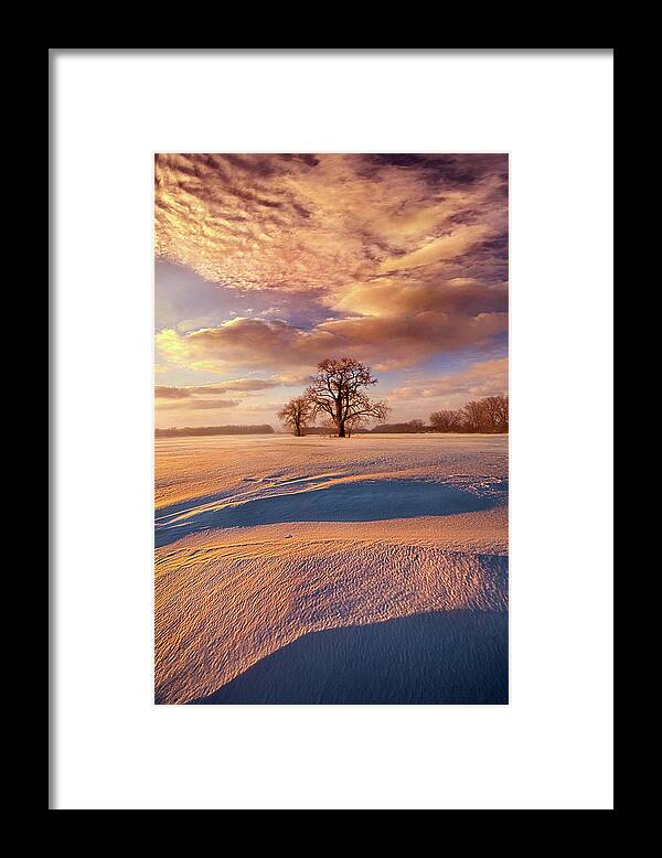 Wisconsin Horizons By Phil Koch Framed Print featuring the photograph Two Trees #1 by Phil Koch