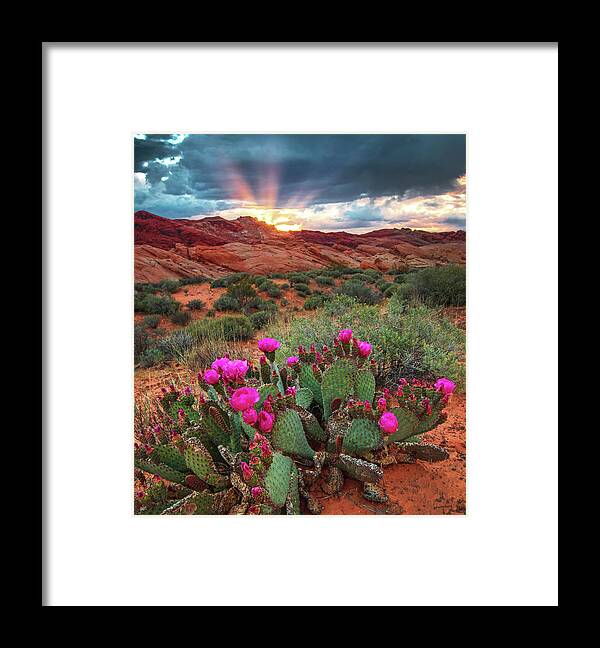 Spring Framed Print featuring the photograph Valley of Fire #1 by Wasatch Light