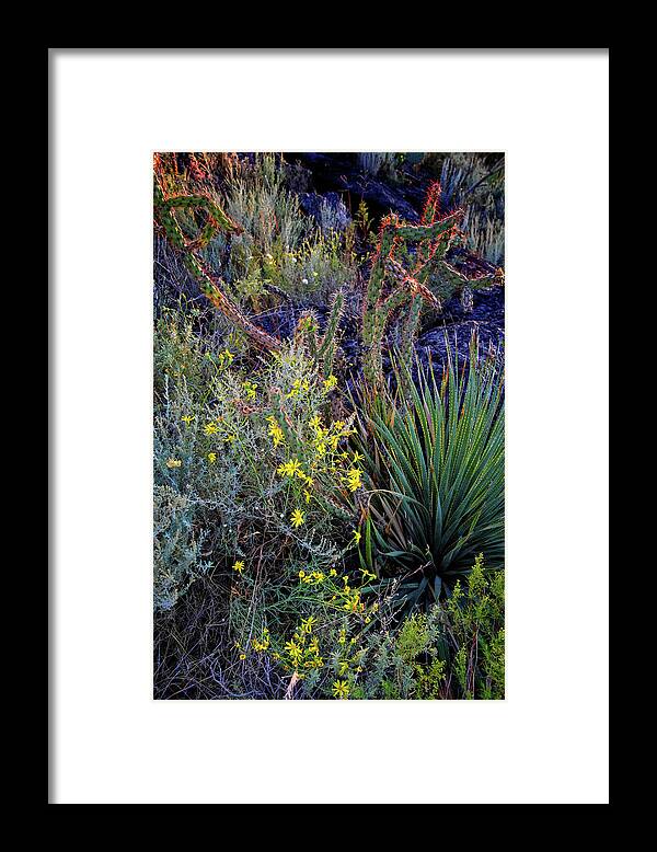 Valley Of The Fires Framed Print featuring the photograph Vegetation in the Valley of Fires #1 by George Taylor