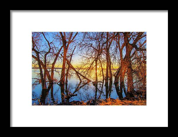 Autumn Framed Print featuring the photograph Twisted Trees On Lake at Sunset by Tom Potter
