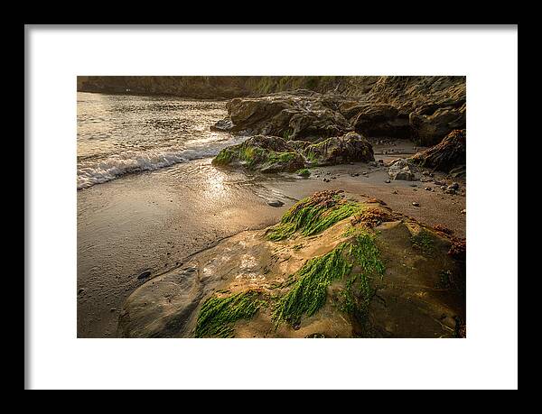 Beach Framed Print featuring the photograph Wave On Rock With Sea Weed At Low Tide, #1 by Mike Fusaro