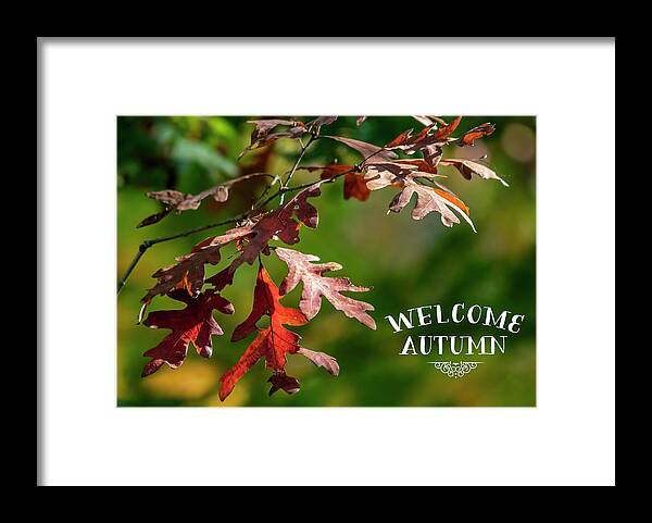 Autumn Framed Print featuring the photograph Welcome Autumn #1 by Cathy Kovarik