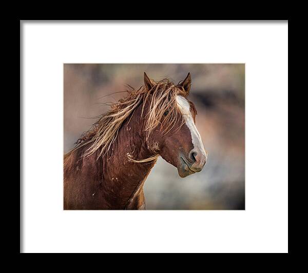 Wild Horses Framed Print featuring the photograph Wilder #1 by Mary Hone