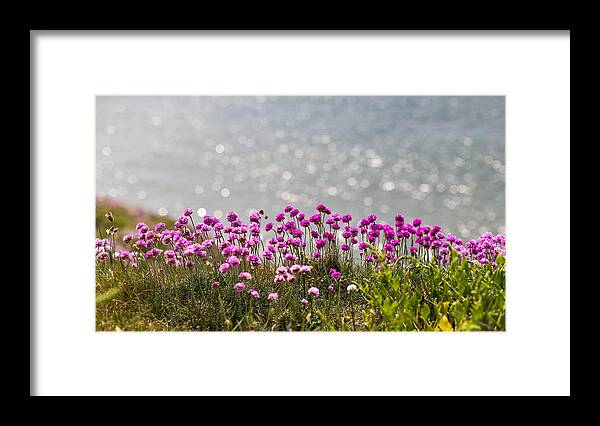 Outdoors Framed Print featuring the photograph Wildflowers and Paddleboarders #1 by s0ulsurfing - Jason Swain