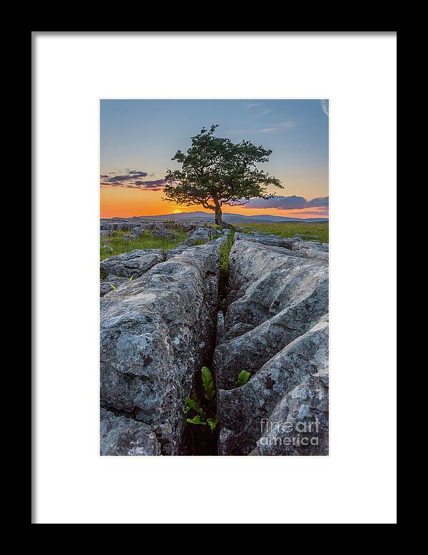 England Framed Print featuring the photograph Winskill Stones by Tom Holmes