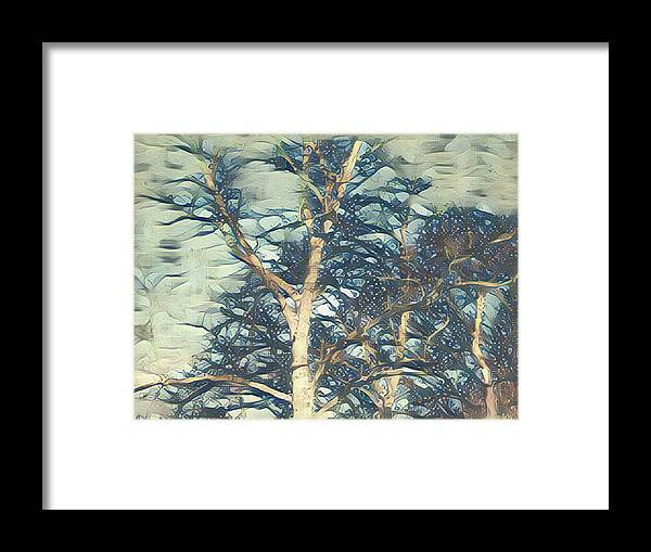 Sky Framed Print featuring the mixed media Winter Branches #2 by Christopher Reed