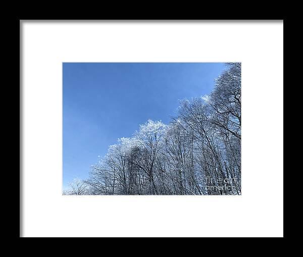  Framed Print featuring the photograph Winter wonderland by Annamaria Frost
