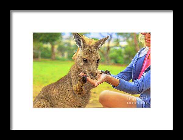 Kangaroos Framed Print featuring the photograph Woman with kangaroo #1 by Benny Marty