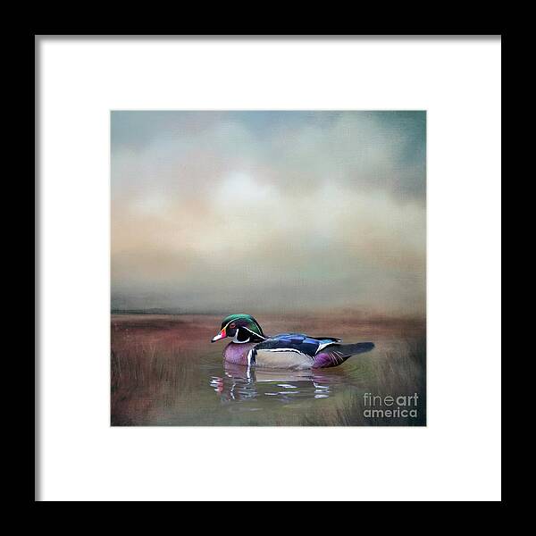 Wood Duck Framed Print featuring the mixed media Wood Duck Swimming #1 by Eva Lechner