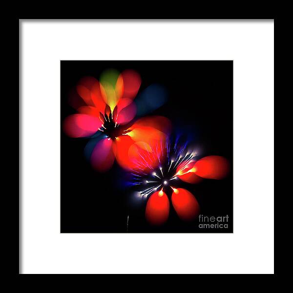 Fireworks Framed Print featuring the photograph Fireworks #10 by Doug Sturgess