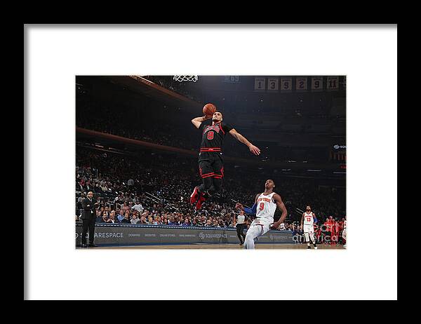 Chicago Bulls Framed Print featuring the photograph Zach Lavine by Nathaniel S. Butler