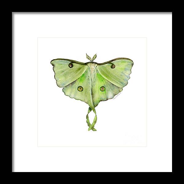 Green Butterfly Framed Print featuring the painting 100 Luna Moth by Amy Kirkpatrick