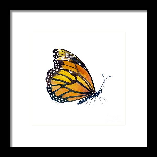 Monarch Butterfly Framed Print featuring the painting 103 Perched Monarch Butterfly by Amy Kirkpatrick