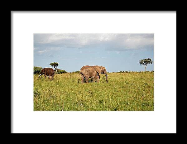 Framed Print featuring the photograph 10k by Jay Handler