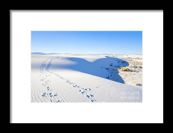 Chihuahuan Desert Framed Print featuring the photograph White Sands Gypsum Dunes #11 by Raul Rodriguez