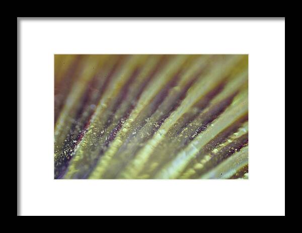 Abstract Framed Print featuring the photograph Abstract #10 by Neil R Finlay