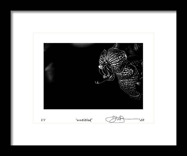 Digital Fine Art Framed Print featuring the digital art 14 by Jerald Blackstock
