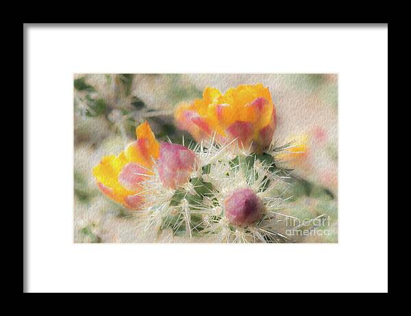 Cactus Framed Print featuring the photograph 1620 Watercolor Cactus Blossom by Kenneth Johnson