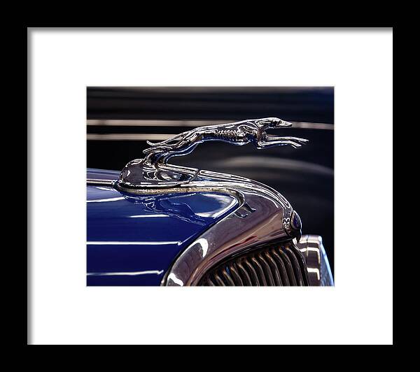 1934 Ford Framed Print featuring the photograph 1934 Ford Greyhound Hood Ornament by Flees Photos