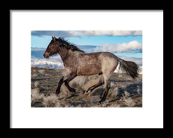  Framed Print featuring the photograph 1dx24927 by John T Humphrey
