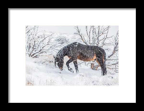  Framed Print featuring the photograph 1dx27972 by John T Humphrey